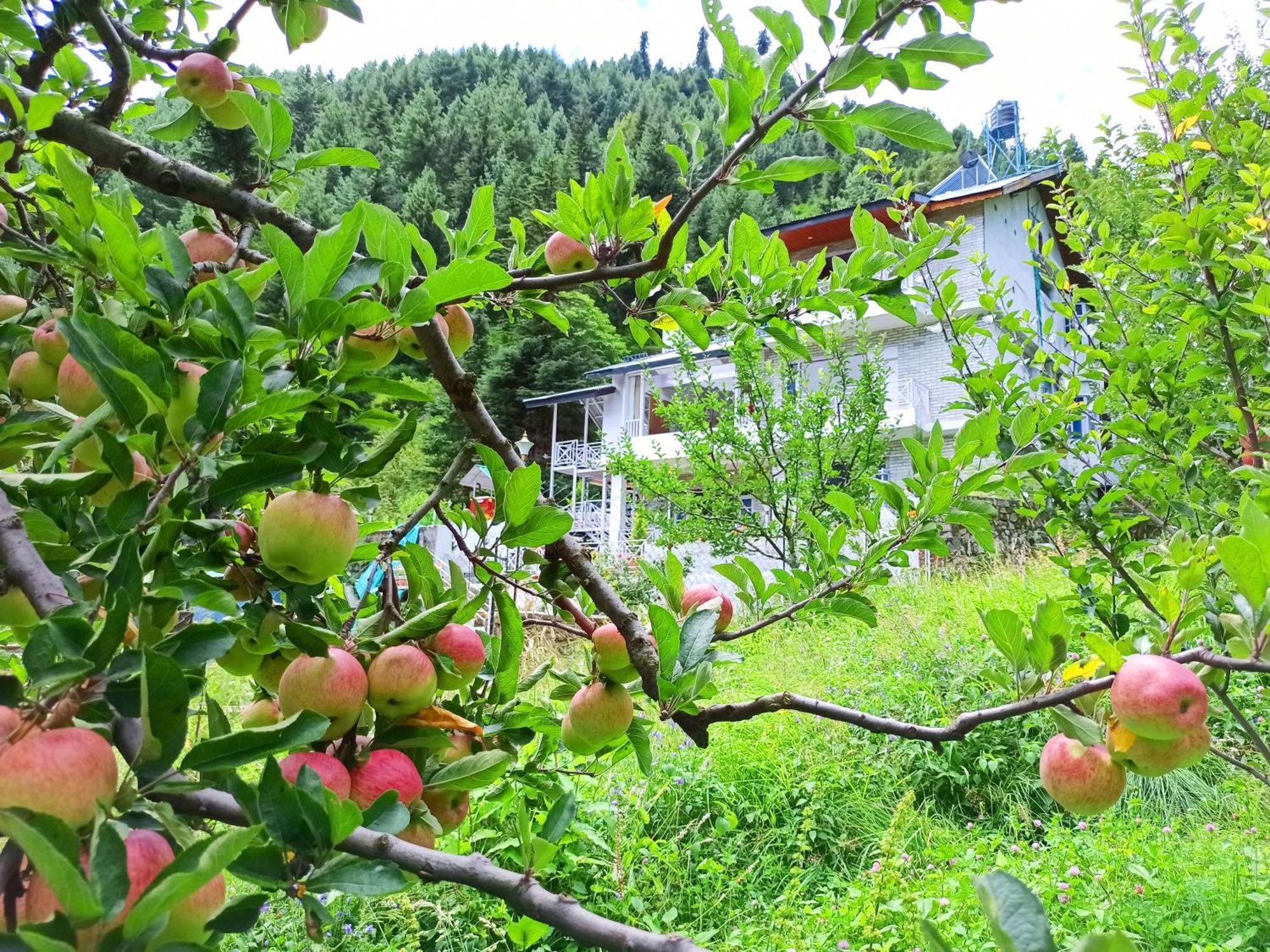 Baan By Snow City Farm Vashist 外观 照片